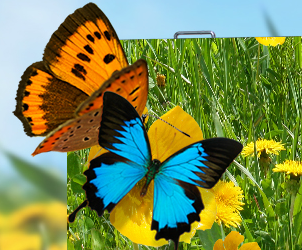 ROYAL皇家88对户外LED显示屏的验收标准详情