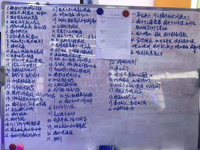 ROYAL皇家88头脑风暴讲解