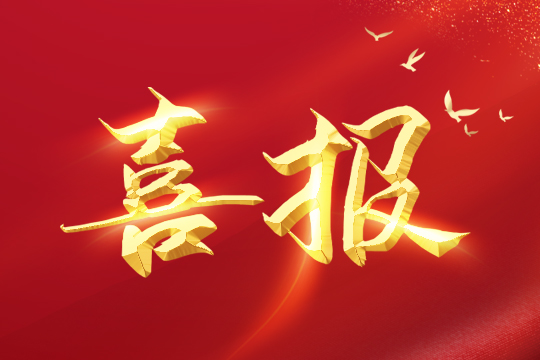 喜报 | ROYAL皇家88led球形屏成功入围“深圳企业创新纪录”！ 