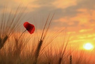 t01ec2525283ac82cb3.jpg t01ec2525283ac82cb3.jpg