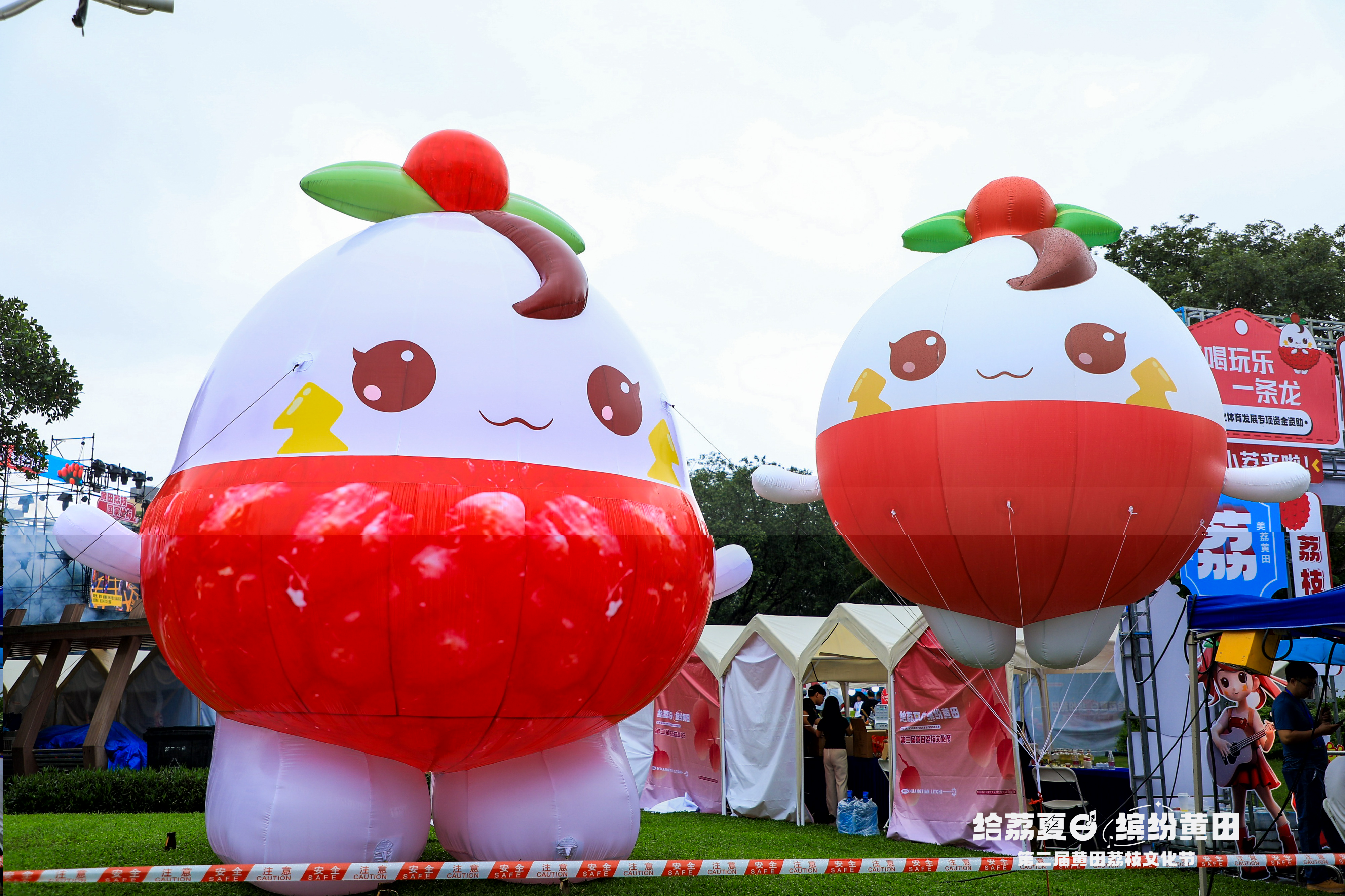 黄田荔枝IP黄小荔 黄田荔枝IP黄小荔